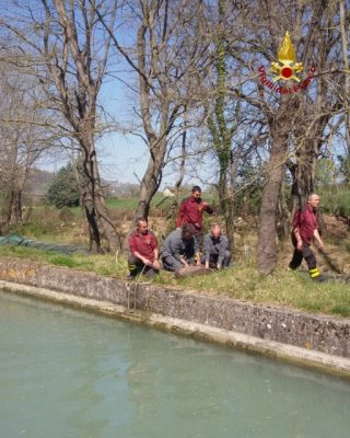 capriolo serra san quirico zona san'elena canale scolo