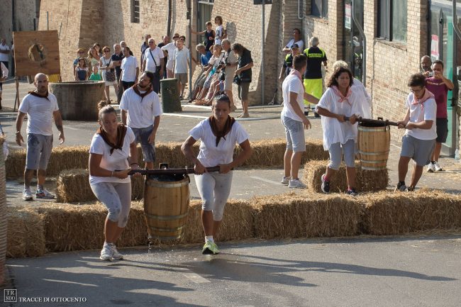 tracce 800 il palio dell'acqua