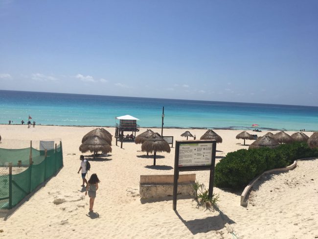 roberto massaccesi, spiaggia cancun tartarughine