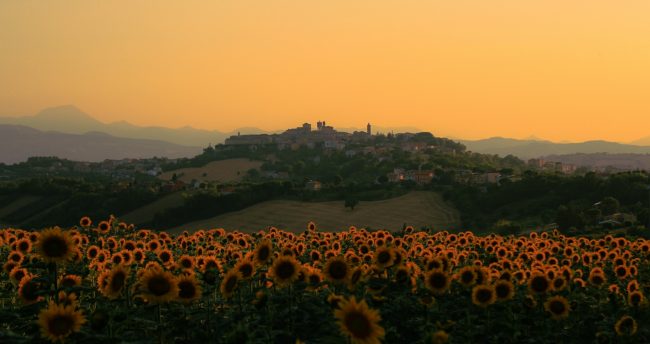 filottrano foto di jessica camilletti