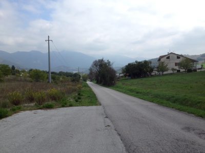 la zona dove sono stati avvistati i cinghiali