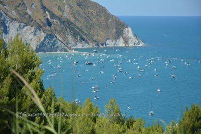 Bandiere Blu Marche Sul Podio Premiate 17 Spiagge