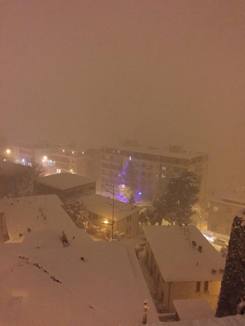 osimo neve