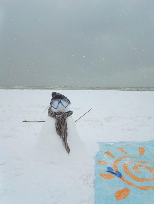 senigallia neve