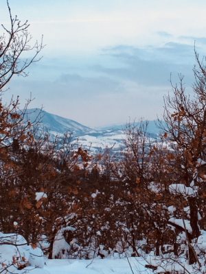 Panorama di Fabriano