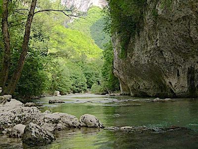  Il fiume Sentino scorre nella Gola