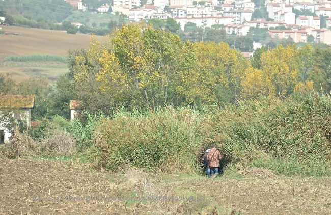 caccia-capanno-bambino_ferito-Osimo-DSC_6524--650x422