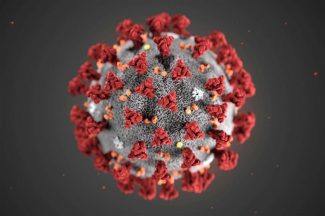 coronavirus-1-325x216
