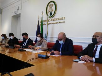 WhatsApp-Image-2021-01-20-at-12.31.11-1-325x244