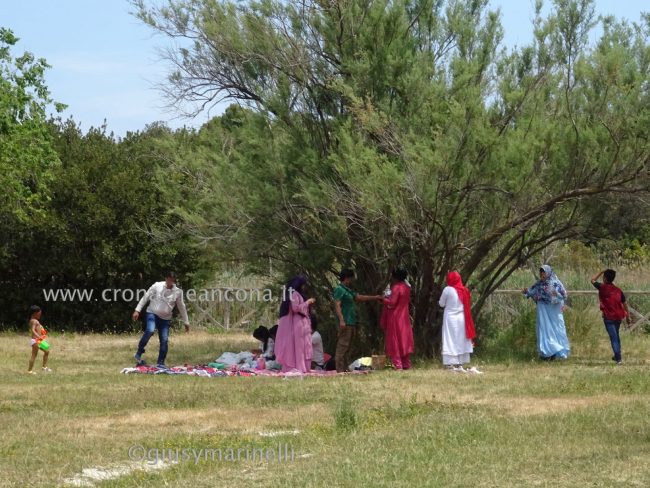 Portonovo-Molo-Laghetti-DSC03201--650x488