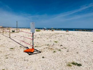 spiaggia rocca mare dog free cani falconara