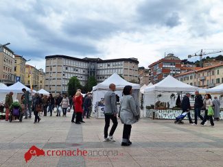 Ancora uno scatto della mostra mercato florovivaistica in piazza Pertini