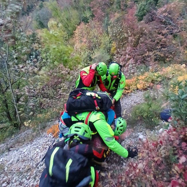 00dcbcf9-014b-43cb-8869-ca0a028212a9-650x650