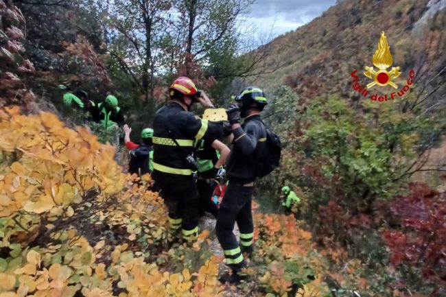 01269d11-15b7-415b-a129-eea80ffa76af-650x433