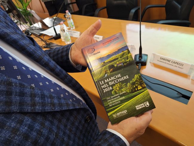 20251119_115007-650x488