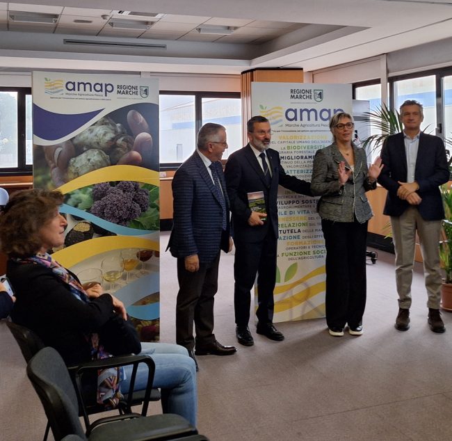 20251119_123858-650x634