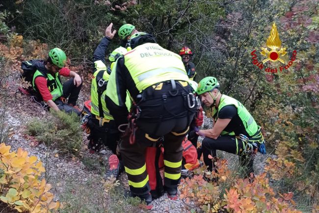 4504906c-3065-4692-9848-94f9b7a4fc32-650x434