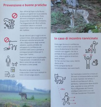 586517348_857100110166665_2599719408254622727_n-325x345