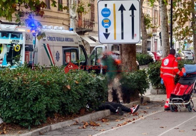 94df26b0-01cc-4584-9948-12032852f5d5-650x451