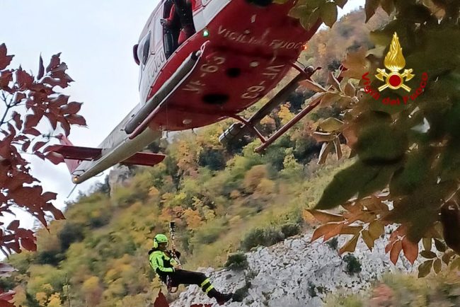 f126dfe0-780d-4832-98c6-cfa4fb014005-650x434