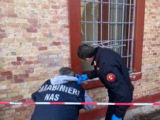 IMG-20260117-WA0011-325x244