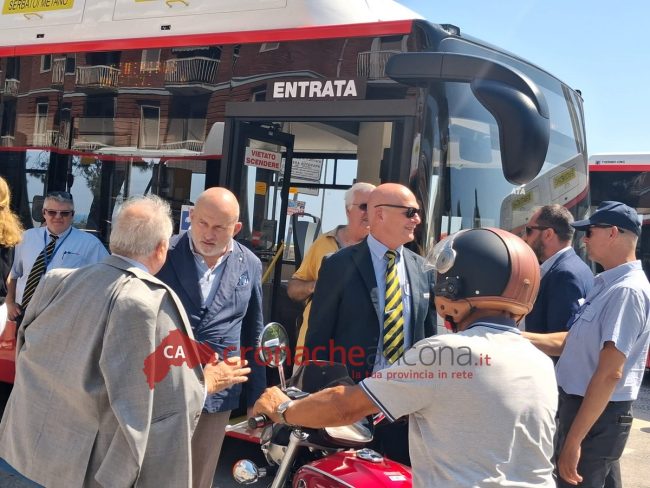 zinni e d'angelo autobus conerobus